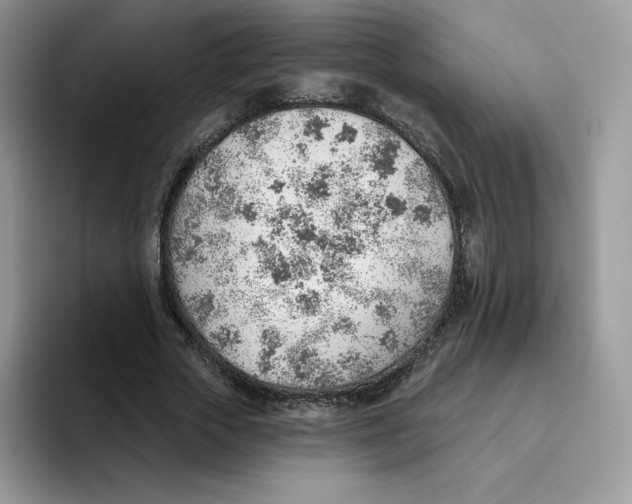 X0000093500729200711091702