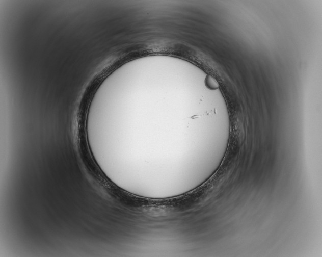 X0000093500730200711091702