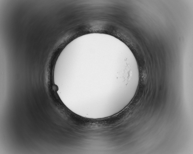 X0000093500732200711091702