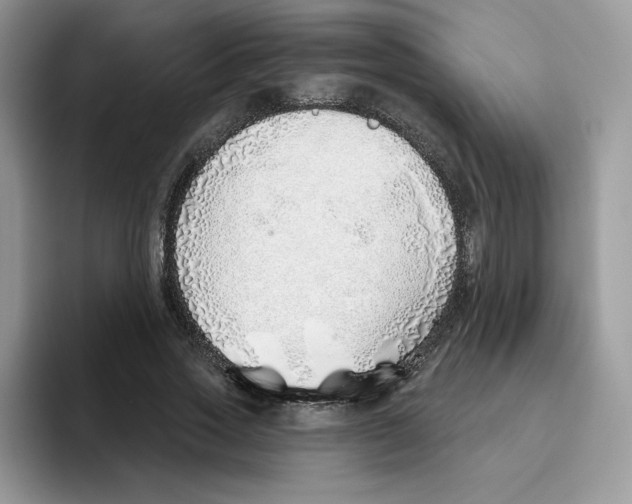 X0000093500733200711091702