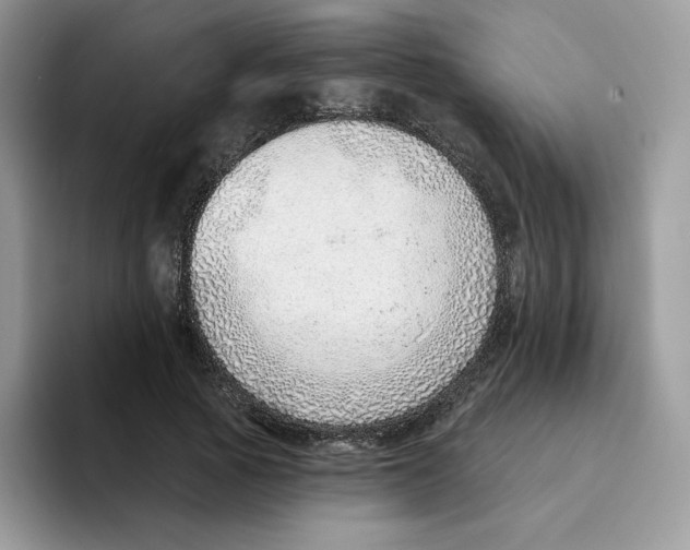 X0000093500737200711091703