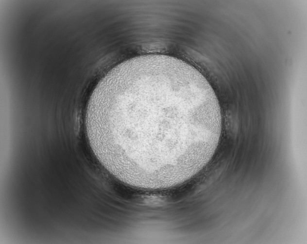 X0000093500741200711091703