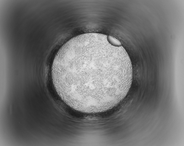 X0000093500742200711091703