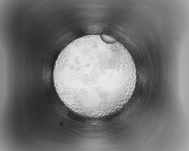 X0000093500745200711091703