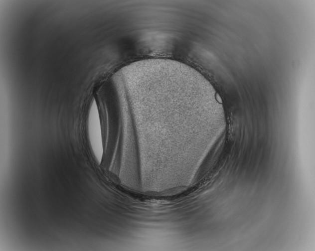 X0000093500748200711091703