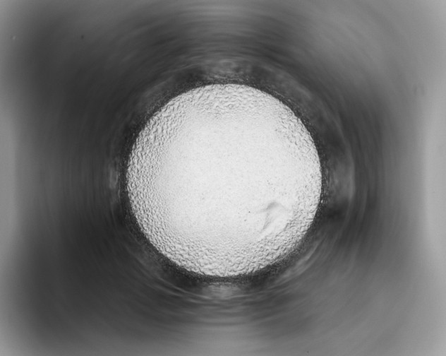 X0000093500749200711091703