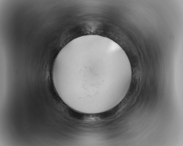 X0000093500754200711091703