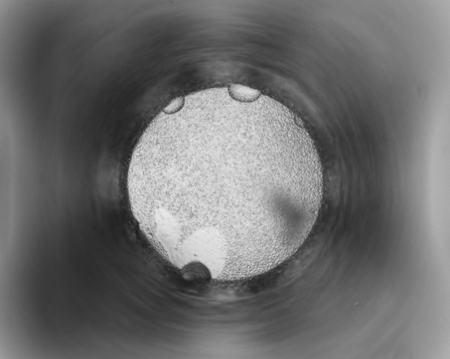 X0000093500757200711091703