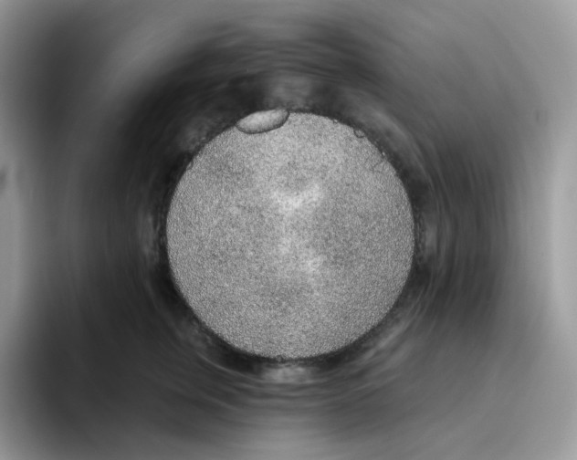 X0000093500759200711091703