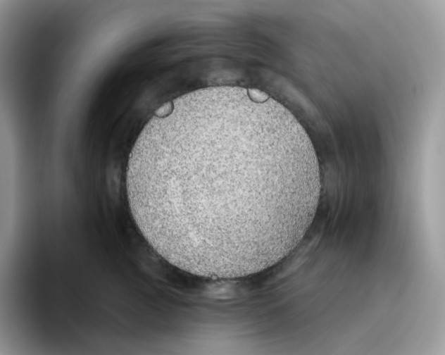 X0000093500761200711091703