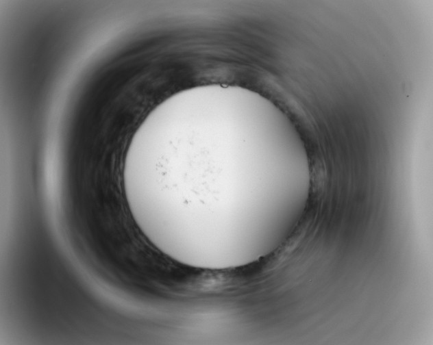 X0000093500764200711091703