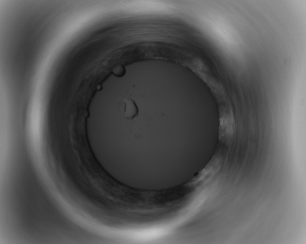 X0000093500765200711091703