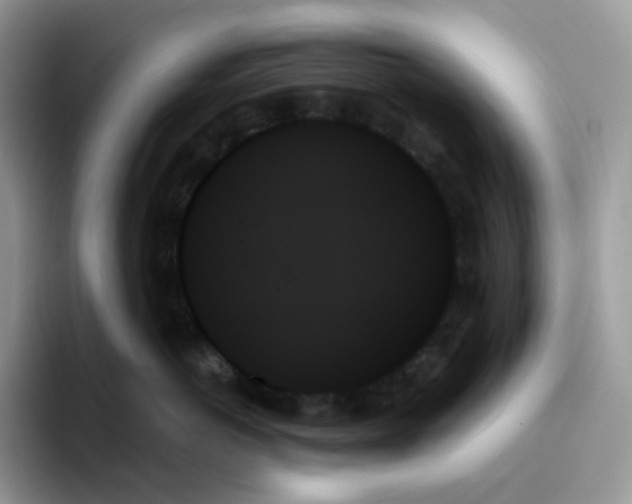 X0000093500766200711091703