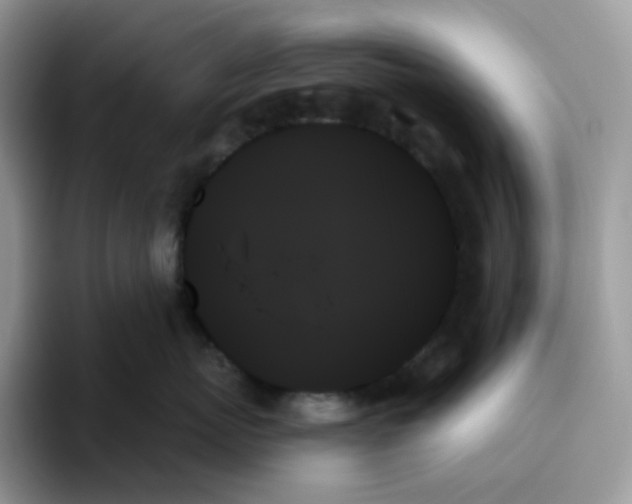 X0000093500767200711091703