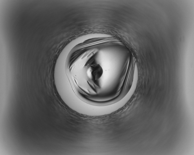 X0000093500769200711091702