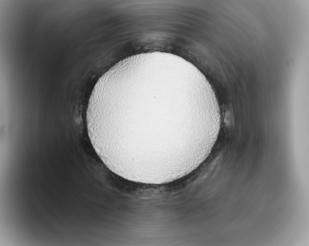 X0000093500771200711091702