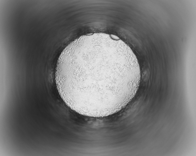 X0000093500772200711091702