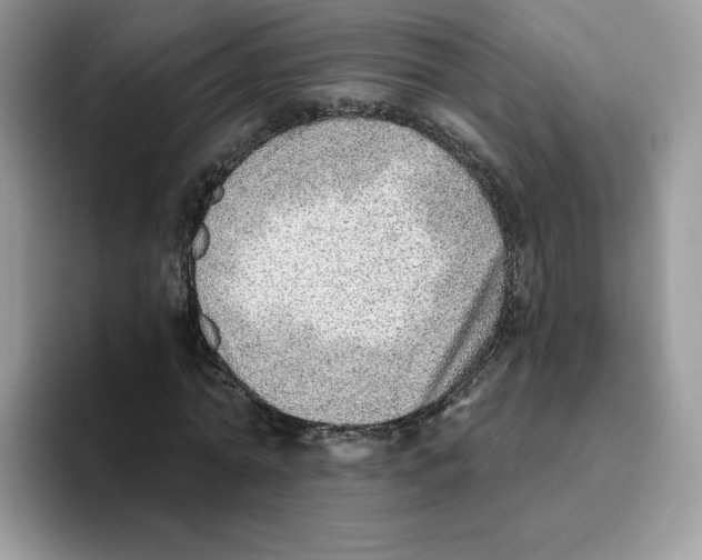 X0000093500774200711091702