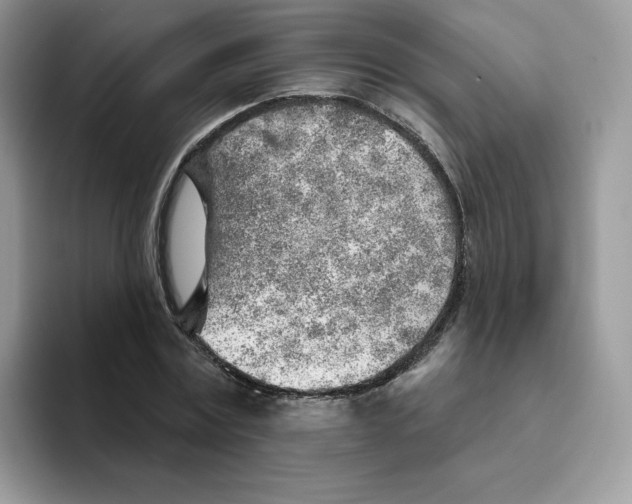 X0000093500779200711091702