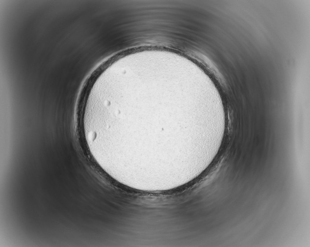 X0000093500780200711091702