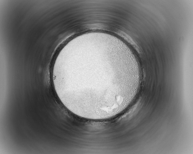 X0000093500782200711091702