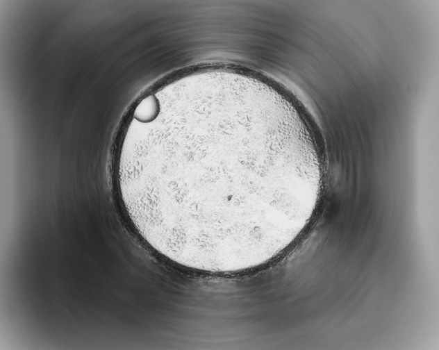 X0000093500783200711091702