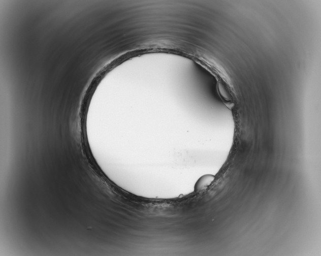 X0000093500784200711091702