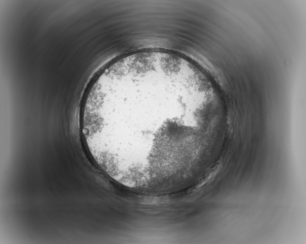 X0000093500790200711091702