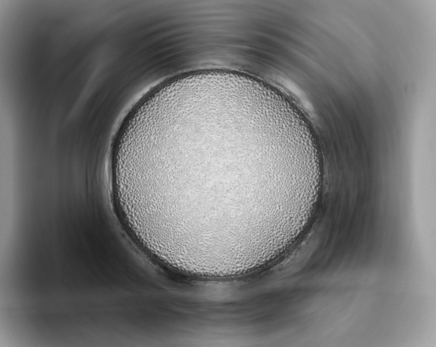 X0000093500796200711091702