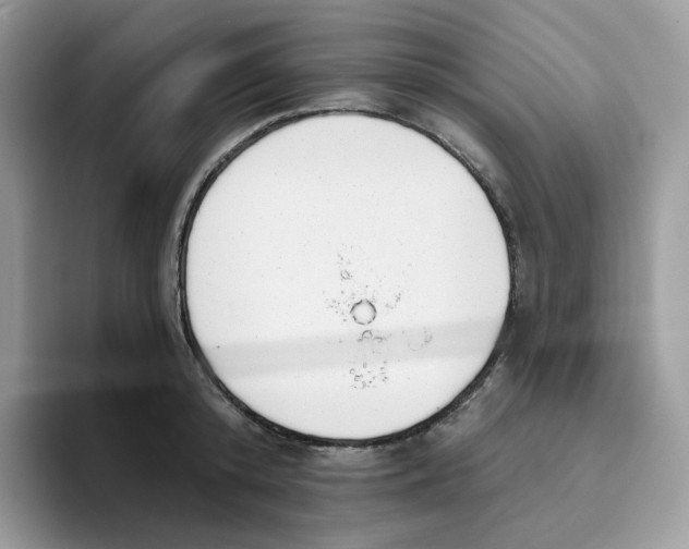 X0000093500800200711091702