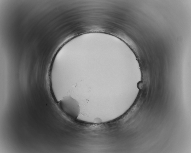 X0000093500806200711091702