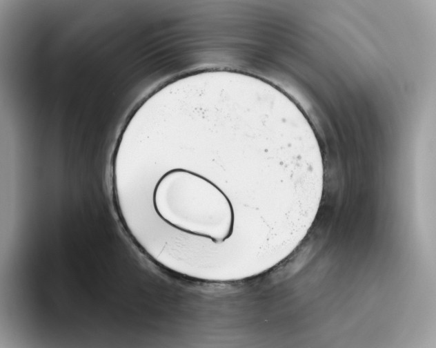 X0000093500807200711091702