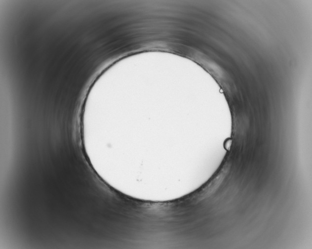 X0000093500808200711091702