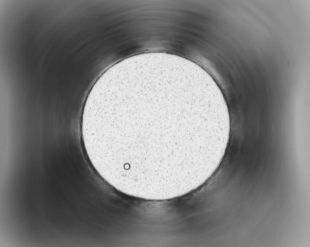 X0000093500810200711091702