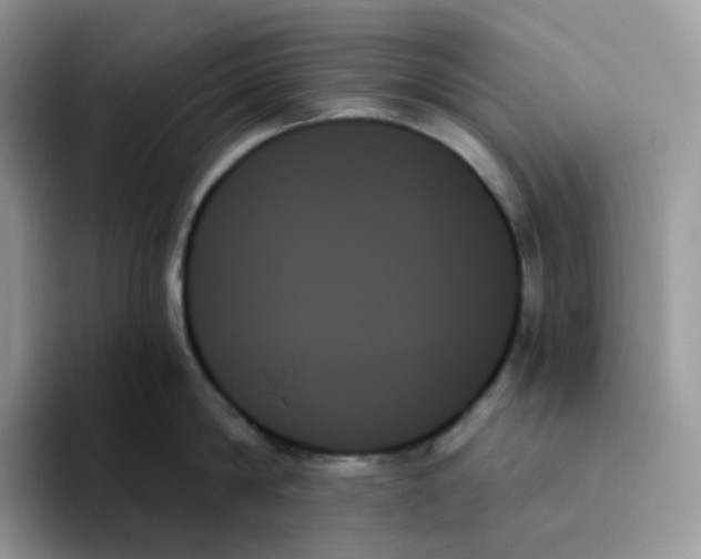 X0000093500814200711091702