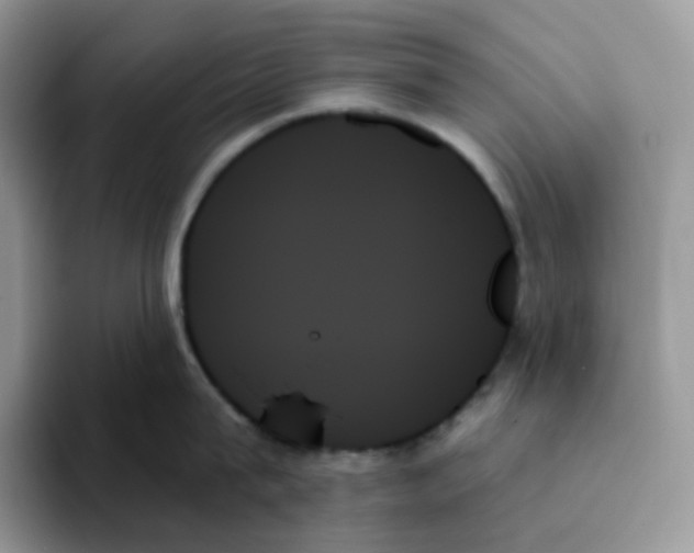 X0000093500815200711091702