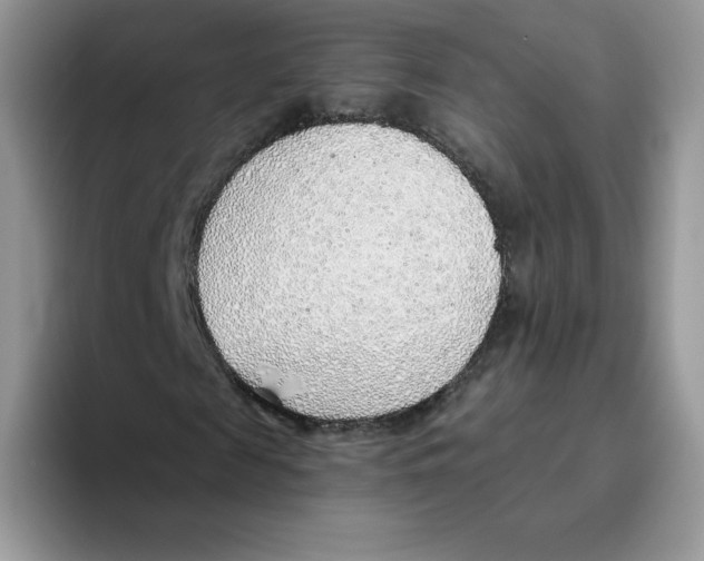 X0000093500817200711091701