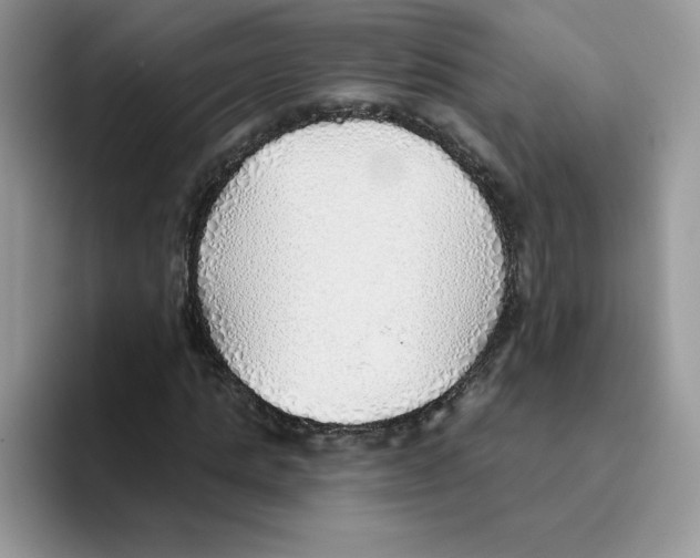 X0000093500821200711091701