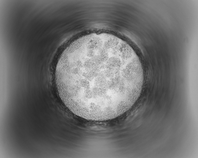 X0000093500823200711091701