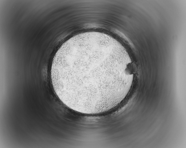 X0000093500825200711091701