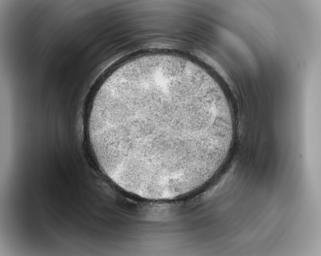 X0000093500829200711091701