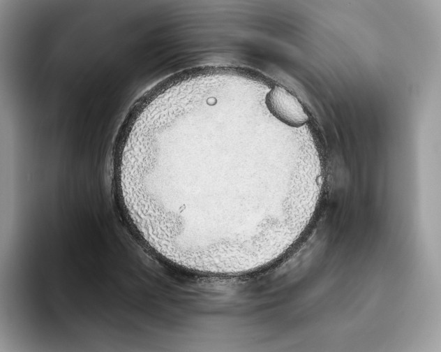 X0000093500831200711091701