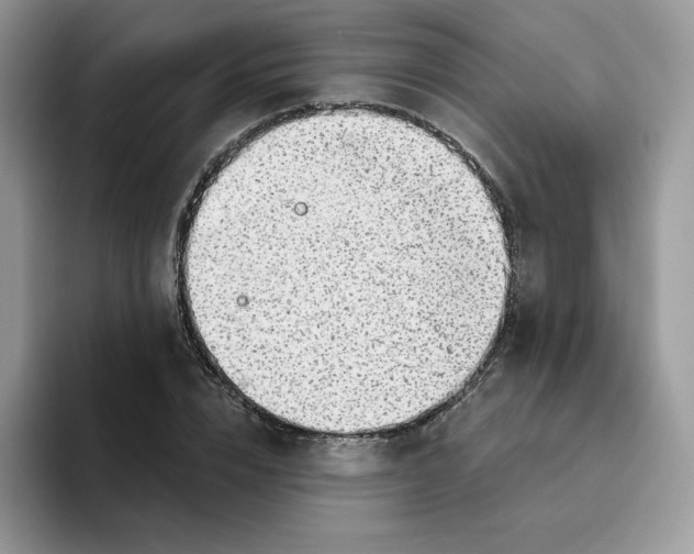 X0000093500832200711091701