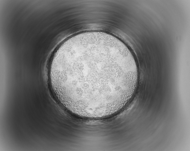 X0000093500835200711091701