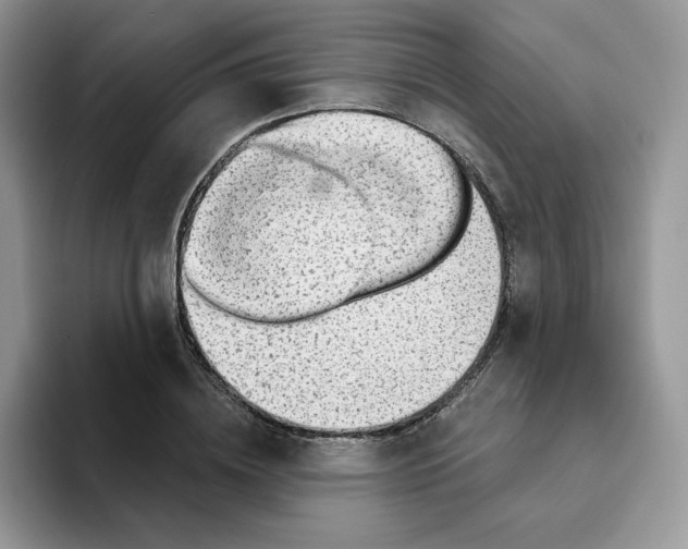 X0000093500836200711091701