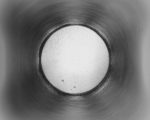 X0000093500837200711091701