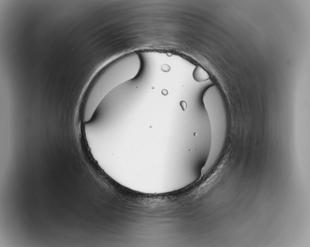 X0000093500838200711091701