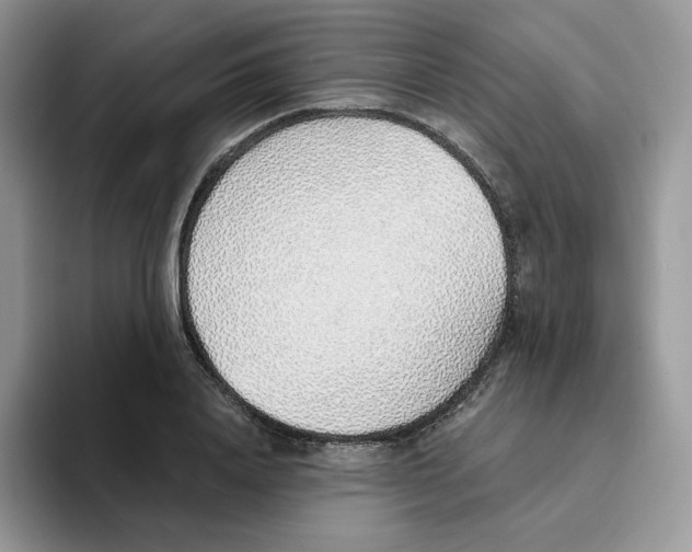 X0000093500840200711091701