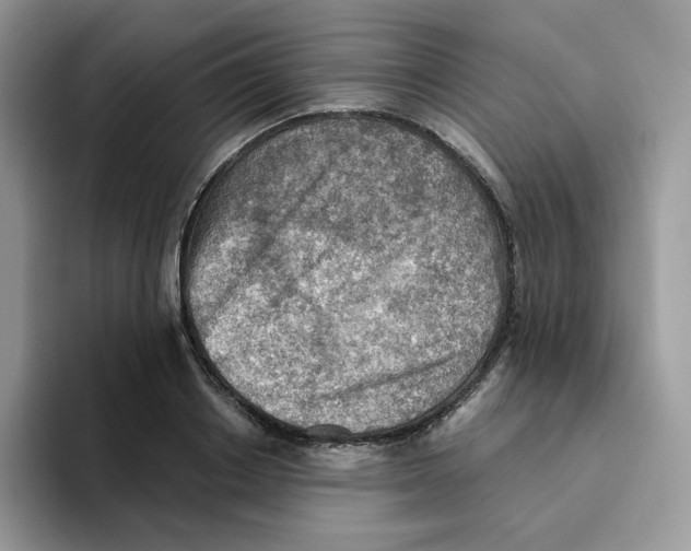 X0000093500842200711091701