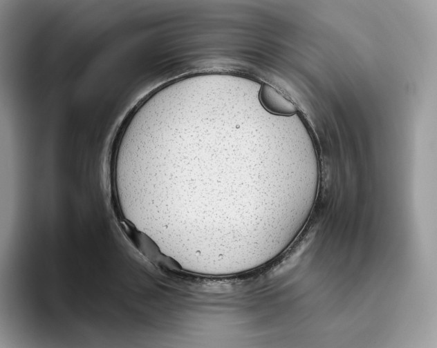 X0000093500843200711091702